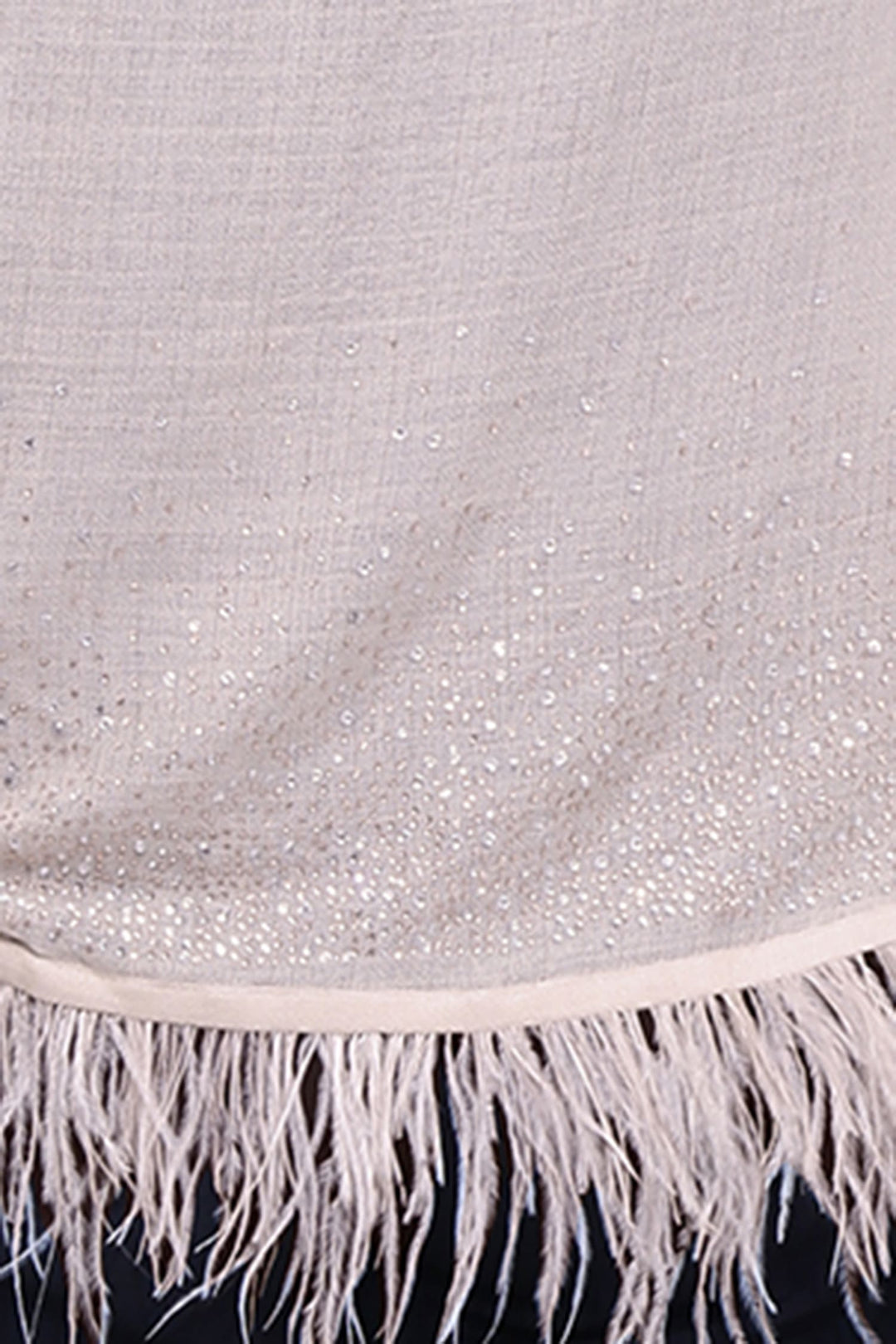 Beige Feather & Crystals 100% Fine Wool Stole- 204