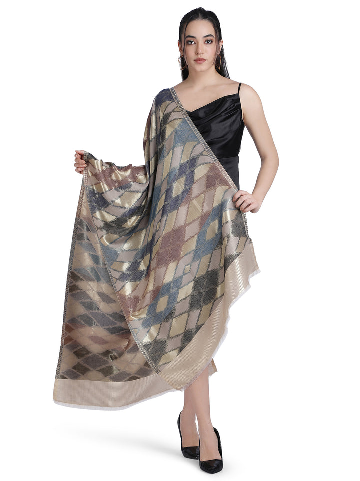 Noor Ikat Weave Shawl With Zari - Brown & Beige- 157