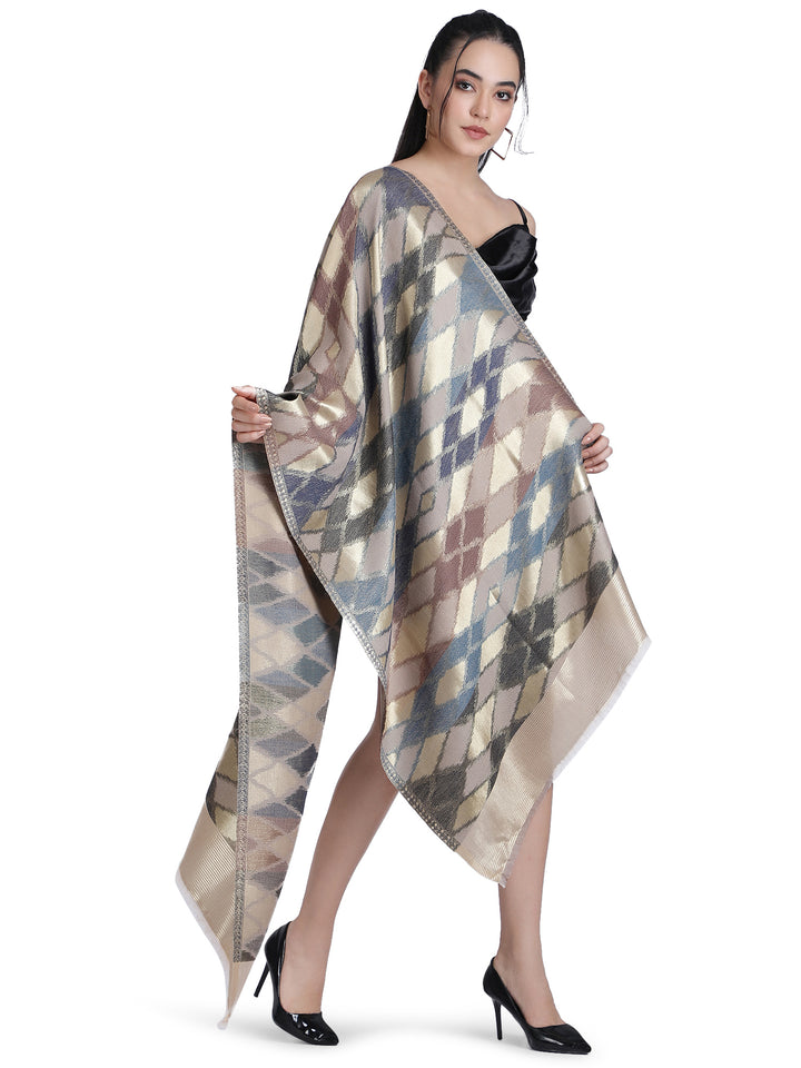 Noor Ikat Weave Shawl With Zari - Brown & Beige- 157