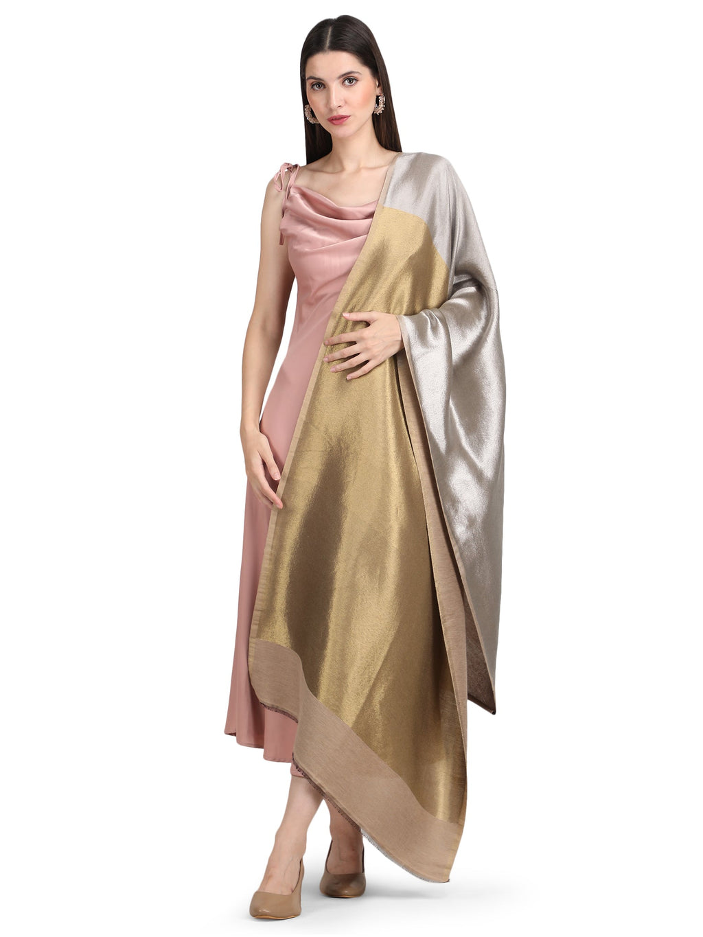 Silver & Gold Zari Reversible Shawl- 152 - Beige